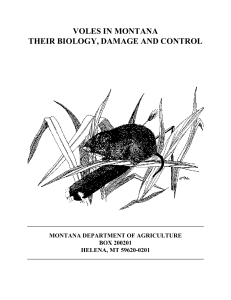 VOLES IN MONTANA THEIR BIOLOGY, DAMAGE AND CONTROL