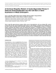 A Dominant Negative Mutant of Cyclin-Dependent