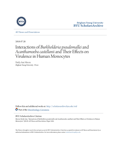 Interactions of Burkholderia pseudomallei and Acanthamoeba