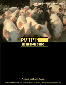 Swine Nutrition Guide