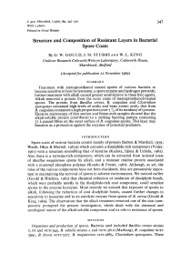 Structure and Composition of Resistant Layers in Bacterial Spore