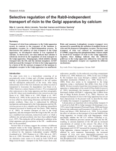 Calcium regulates ricin transport to the Golgi apparatus