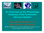 An Overview on the Physiologic Anatomy of the Autonomic Nervous