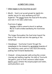 ALIMENTARY CANAL 1. What happen to the food that we