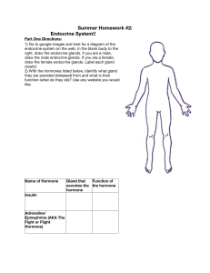 Summer Homework #2: Endocrine System!!