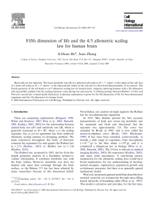 Fifth dimension of life and the 4/5 allometric scaling law for human