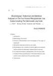 Morphological, Anatomical and Statistical Analyses on The Four