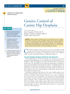 Genetic Control of Canine Hip Dysplasia