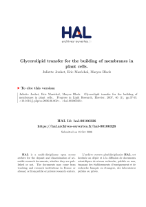 Glycerolipid transfer for the building of membranes in plant cells.