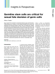 Germline stem cells are critical for sexual fate decision of germ cells
