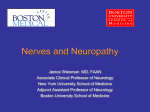 Nerves And Neuropathy