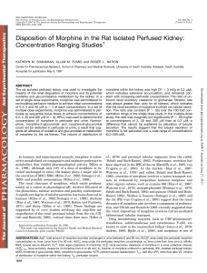 Disposition of Morphine in the Rat Isolated Perfused Kidney