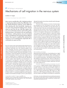 Mechanisms of cell migration in the nervous system