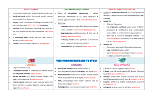 The Endomembrane System