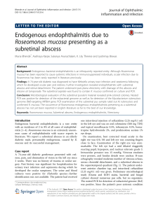 Endogenous endophthalmitis due to Roseomonas mucosa