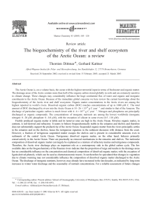 The biogeochemistry of the river and shelf ecosystem of the Arctic