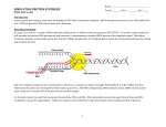 simulating protein synthesis