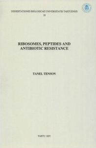 RIBOSOMES, PEPTIDES AND ANTIBIOTIC RESISTANCE