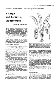 A Large and Versatile Gryptocoryne - Wageningen UR E