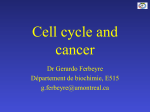 Cell cycle and cancer