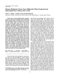 Plasma Membrane Ghosts Form Differently When Produced from