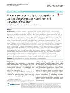 Phage adsorption and lytic propagation in