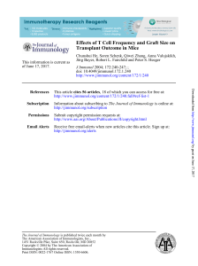 Transplant Outcome in Mice Effects of T Cell Frequency and Graft