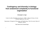 Contingency and diversity in biology: from anatomical complexity to