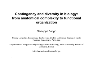 Contingency and diversity in biology: from anatomical complexity to