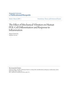 The Effect of Mechanical Vibration on Human PDL Cell