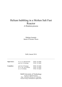 Helium bubbling in a Molten Salt Fast Reactor