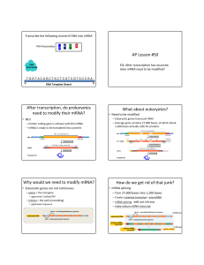 AP Lesson #50 After transcription, do prokaryotes need to modify