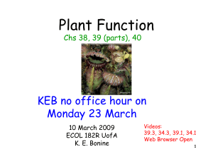 Plant Function