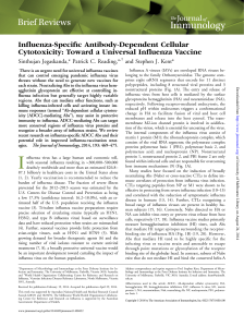 Toward a Universal Influenza Vaccine