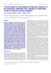 A novel assay for examining the molecular