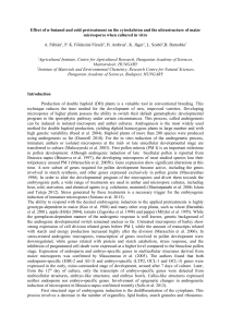 Effect of n-butanol and cold pretreatment on the cytoskeleton and