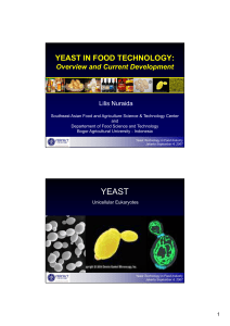 yeast in food technology - Lilis Nuraida`s blog