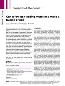 Can a few non-coding mutations make a human brain?