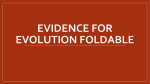 Evidence for Evolution Foldable