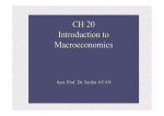 CH 20 Introduction to Macroeconomics