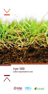 4 per 1000 Carbon sequestration in soils for food security and the