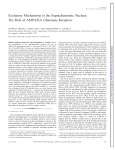 Excitatory Mechanisms in the Suprachiasmatic Nucleus: The Role of