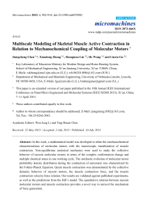 Multiscale Modeling of Skeletal Muscle Active