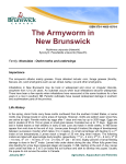 Armyworm - Government of New Brunswick