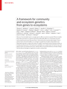 A framework for community and ecosystem