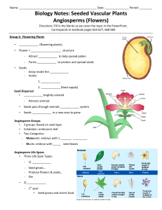 Biology Notes: Seeded Vascular Plants Angiosperms (Flowers)
