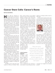 Cancer Stem Cells: Cancer`s Roots