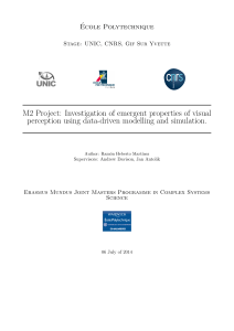 M2 Project: Investigation of emergent properties of visual perception