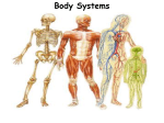 Body Systems Overview Notes/Powerpoint