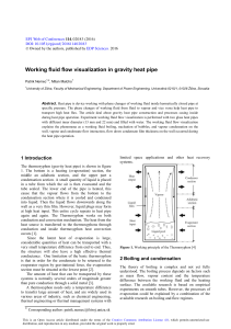 Working fluid flow visualization in gravity heat pipe